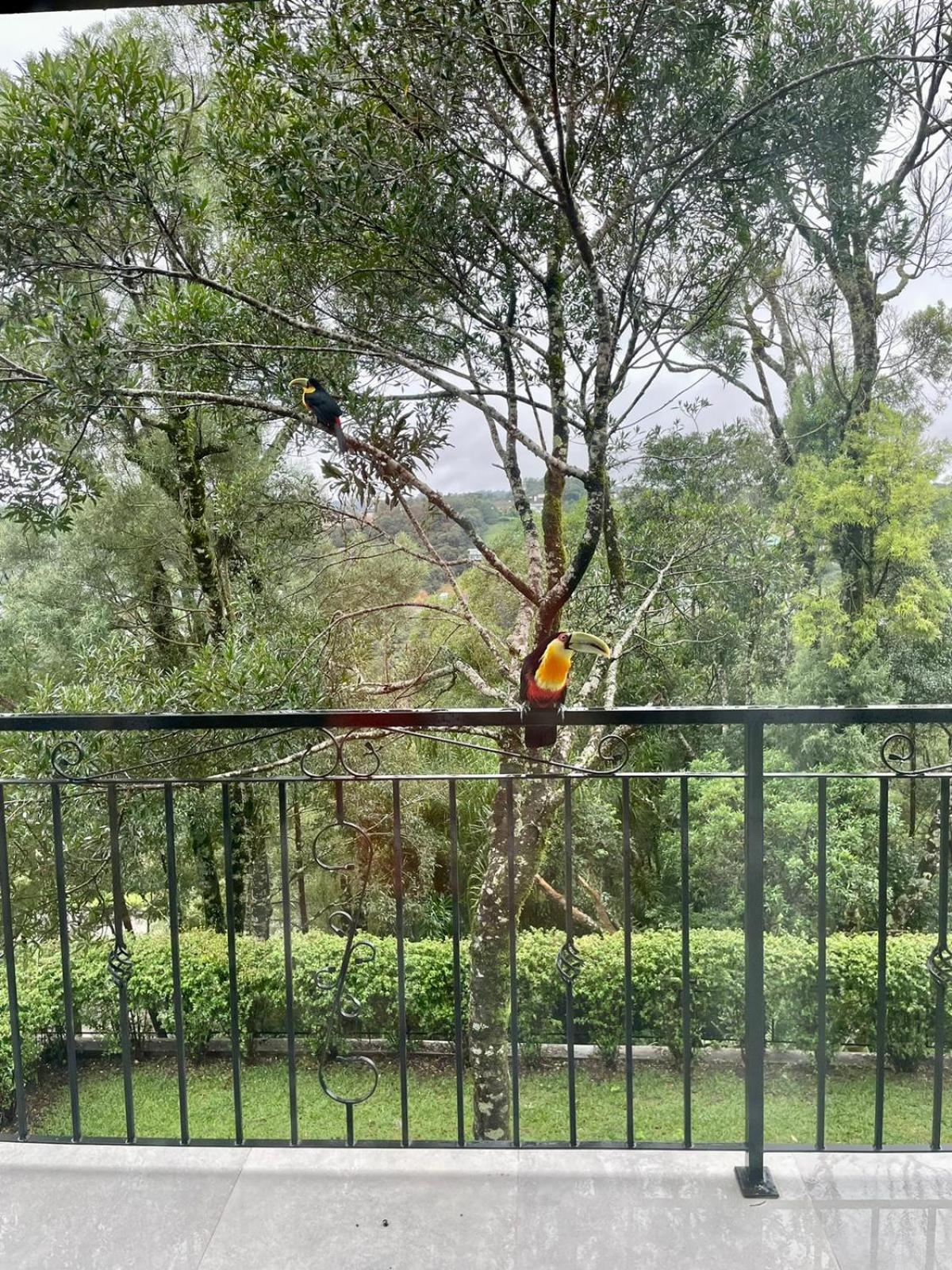 Belvedere Gramado Kültér fotó